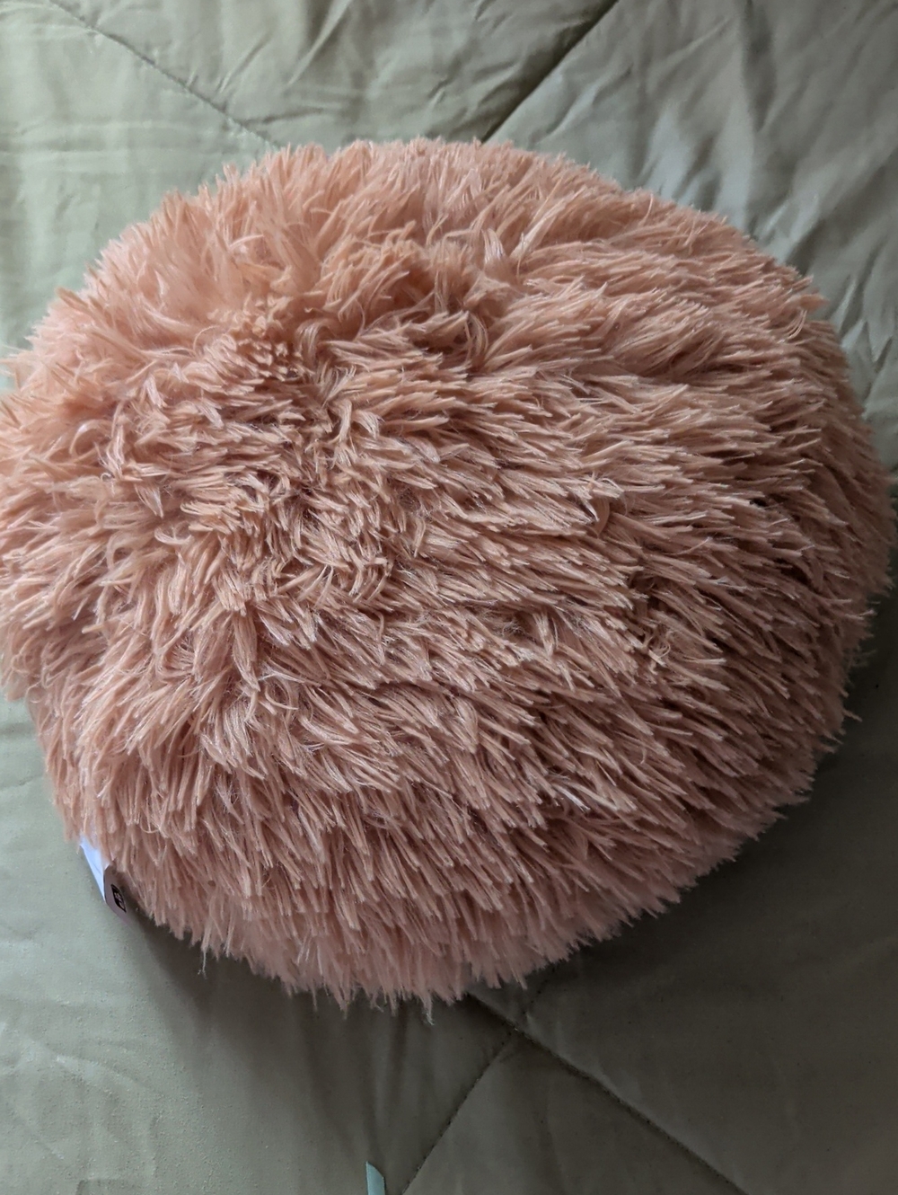 Plush Round Shaggy Throw Pillow - Blush Pink